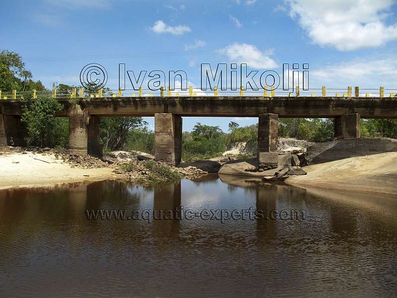puente sobre el RIO SAMARIAPO